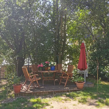 Ansimali 1- Gemuetliche Mit Kueche Und Gartenblick In Fuer Tierfreunde Und Radliebhaber Beierfeld