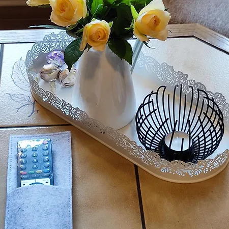 Ansimali 1- Gemuetliche Mit Kueche Und Gartenblick In Fuer Tierfreunde Und Radliebhaber * Beierfeld