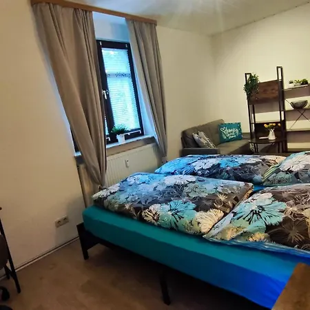 Ansimali 1- Gemuetliche Mit Kueche Und Gartenblick In Fuer Tierfreunde Und Radliebhaber Beierfeld