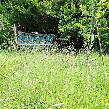 Ansimali 1- Gemuetliche Mit Kueche Und Gartenblick In Fuer Tierfreunde Und Radliebhaber Beierfeld