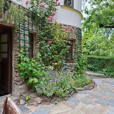 Ansimali 1- Gemuetliche Mit Kueche Und Gartenblick In Fuer Tierfreunde Und Radliebhaber * Beierfeld