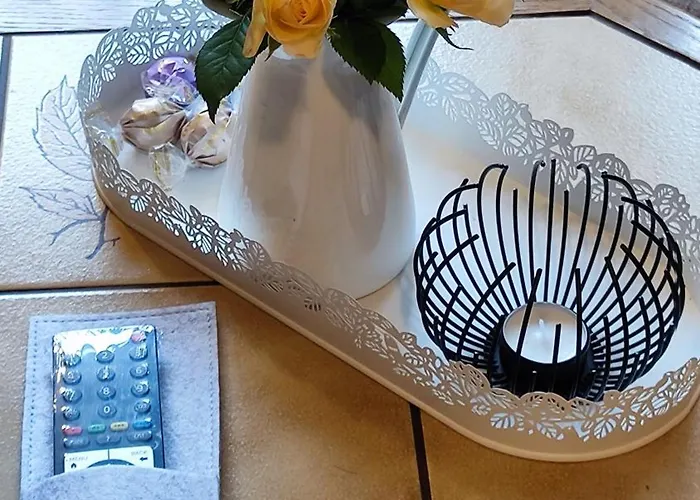 Ansimali 1- Gemuetliche Mit Kueche Und Gartenblick In Fuer Tierfreunde Und Radliebhaber * Beierfeld