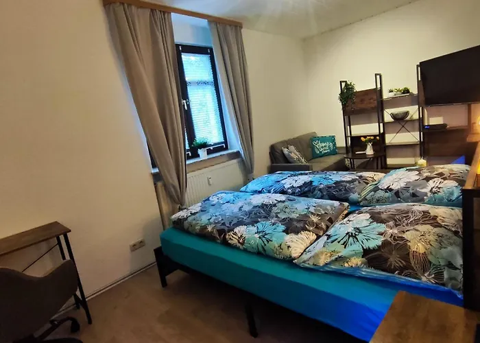 Ansimali 1- Gemuetliche Mit Kueche Und Gartenblick In Fuer Tierfreunde Und Radliebhaber Beierfeld