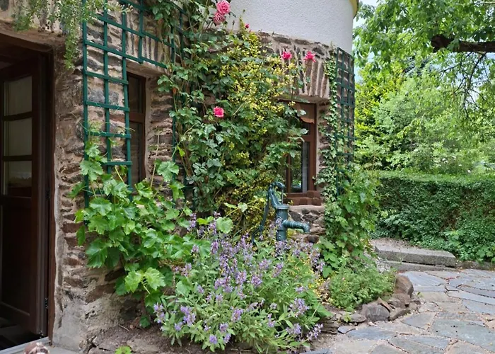 Ansimali 1- Gemuetliche Mit Kueche Und Gartenblick In Fuer Tierfreunde Und Radliebhaber * Beierfeld